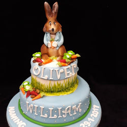 Two tier Peter The Rabbit Cake