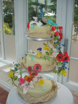 Peacock  Wedding Cake