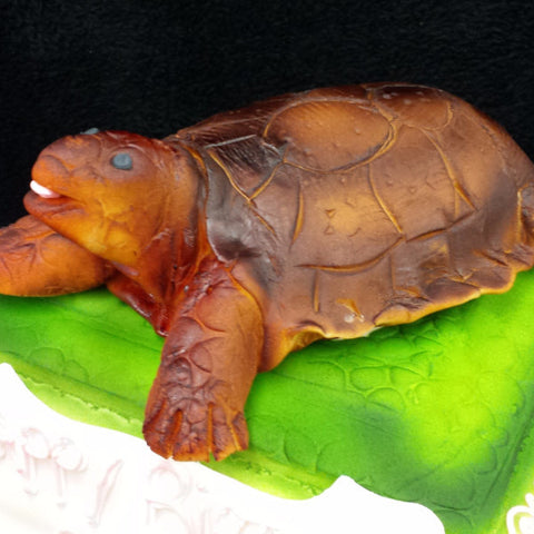 Tortoise Birthday Cake
