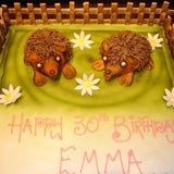 Hedgehog  Birthday Cake