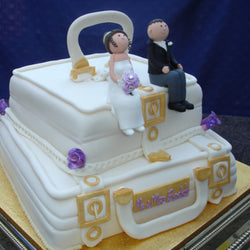 2 Tier Wedding Suitcase